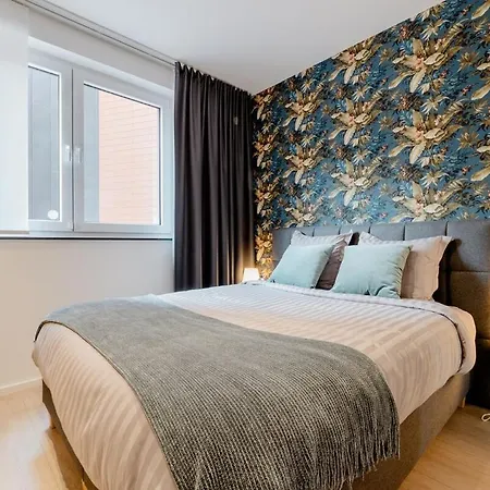 Cosy And Premium Mons